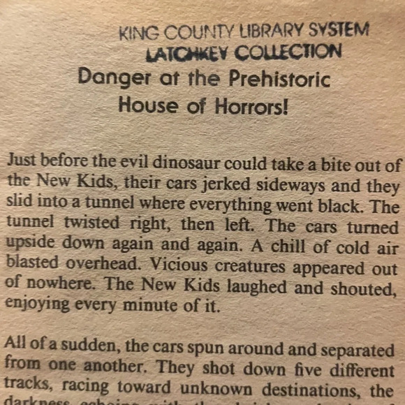 New kids in the block backstage surprise novel - Picture 3 of 5